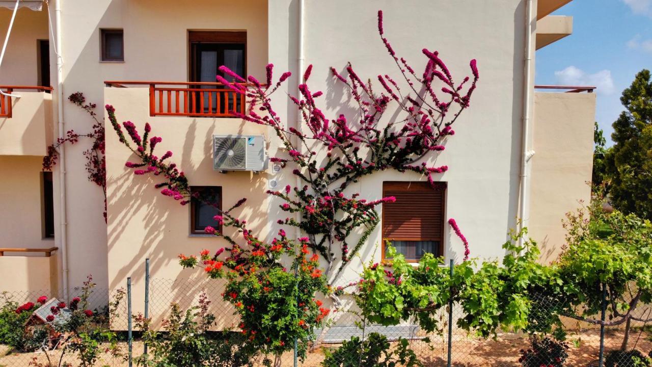 Dina Apartament